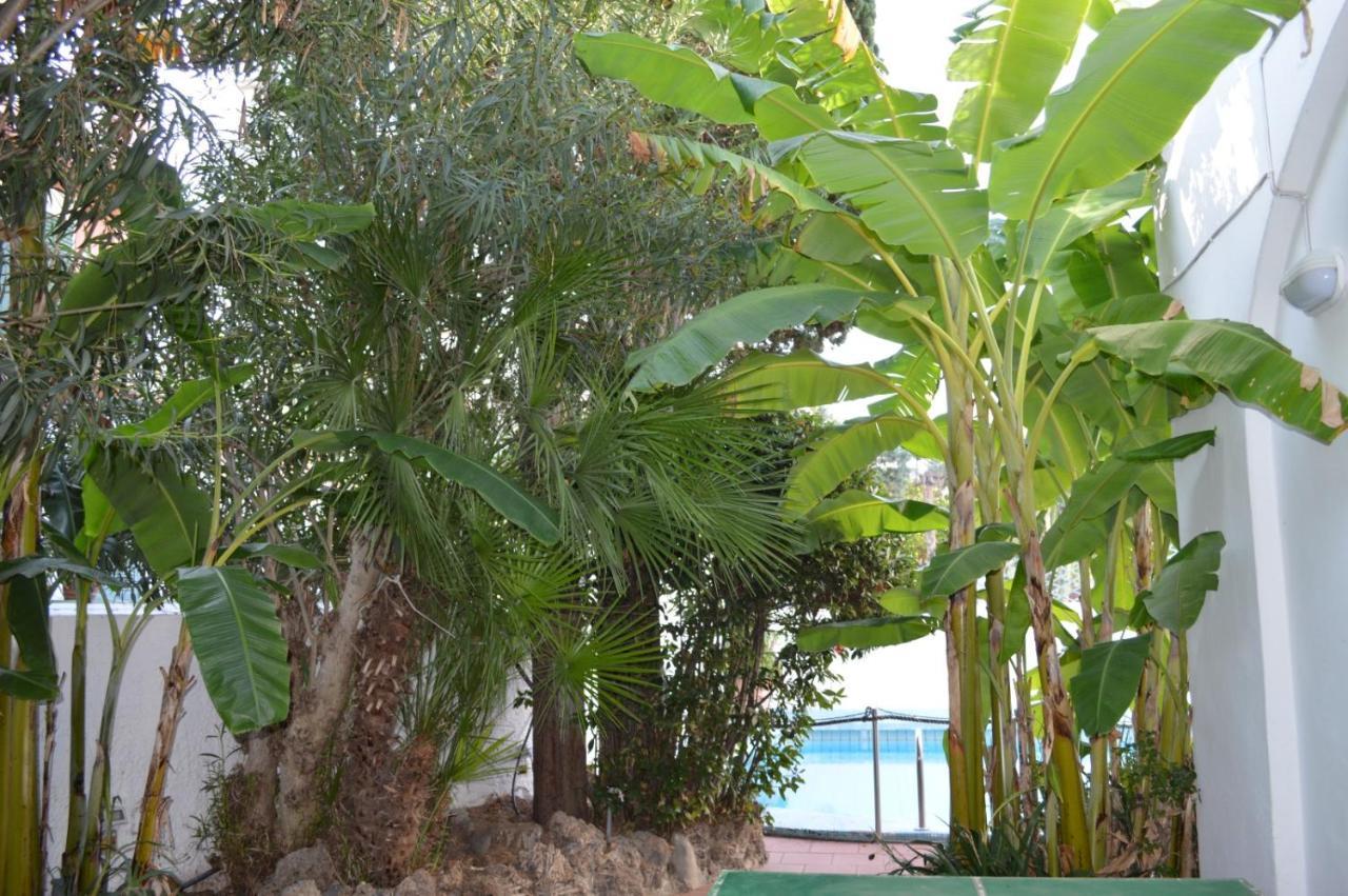 Il Kent Appartement Ischia Buitenkant foto